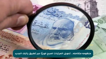 منظومة متكاملة.. تحويل المرتبات أصبح فوريًا عبر تطبيق راتبك الجديد
